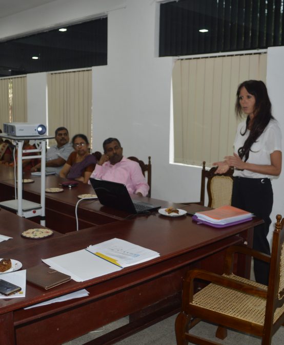 CONTESSA meeting at the faculty of Education