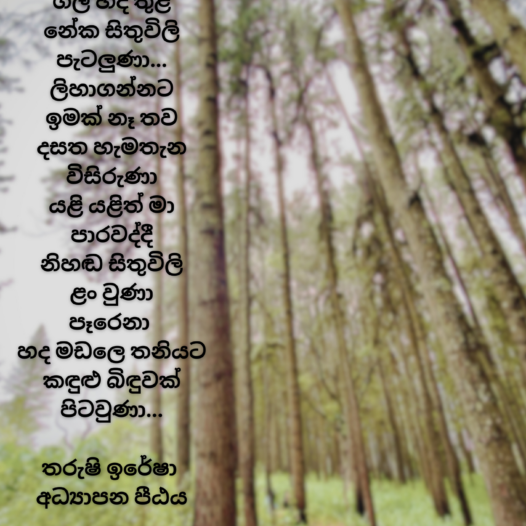 by Tharushi Iresha