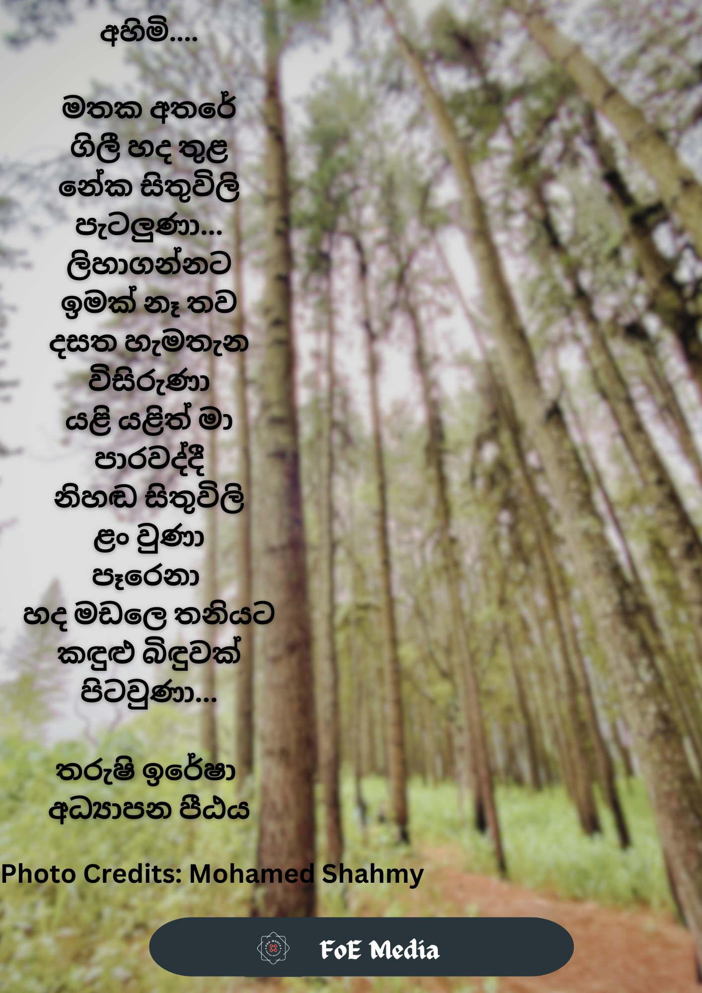 by Tharushi Iresha